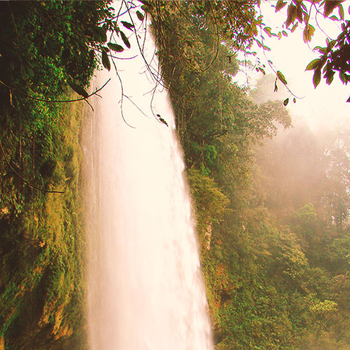 Testimonials-Template-10