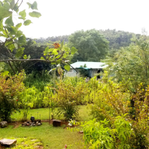 The Gardens